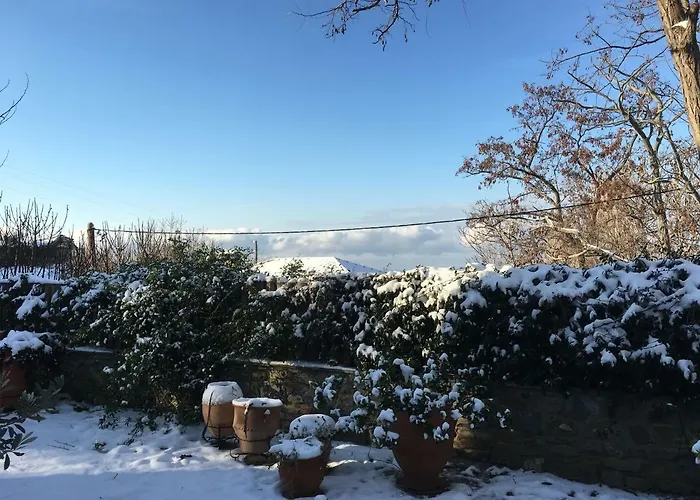 Charming Stone House Tatil Evi